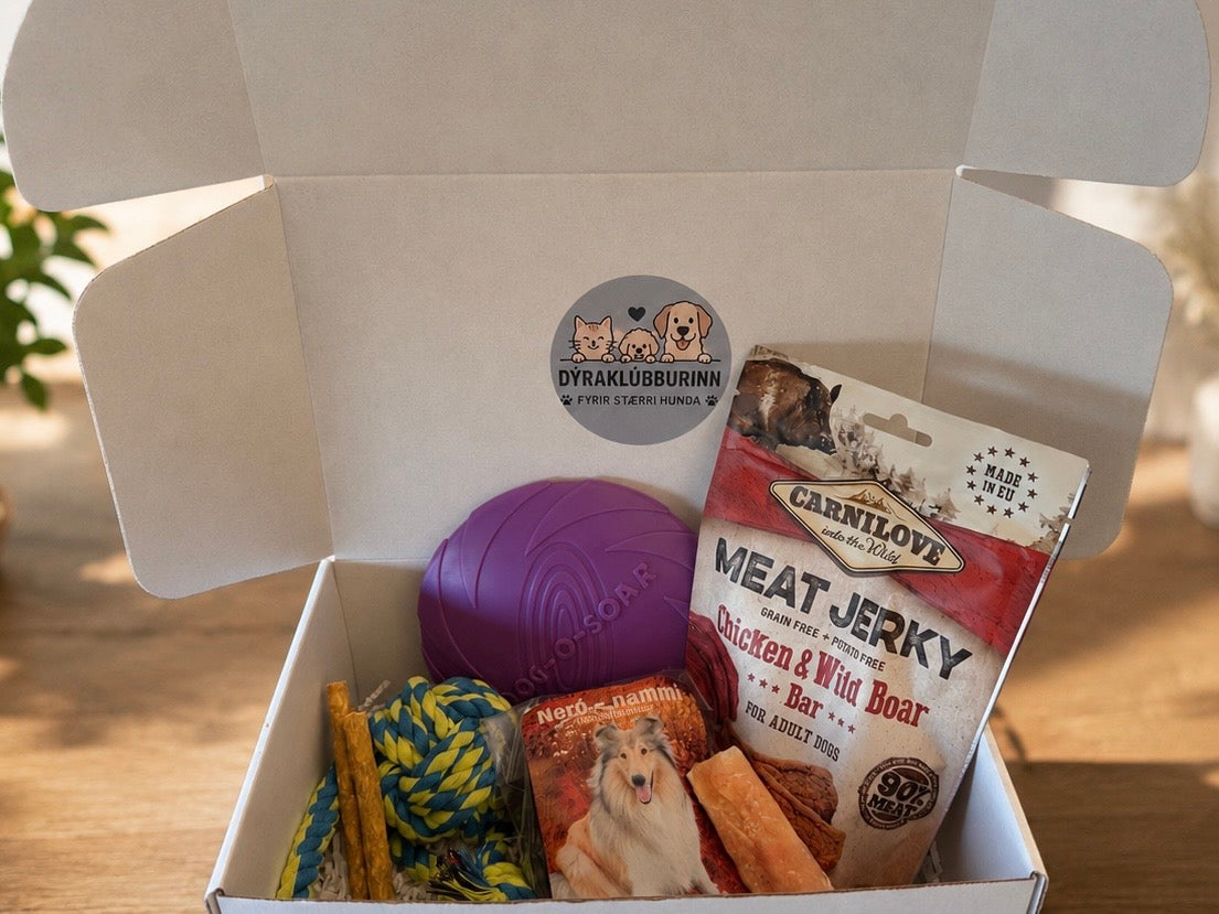 Stærra Hunda Box – Dýraklúbburinn