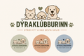 Katta Box – Dýraklúbburinn